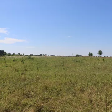 Земельні ділянка 8,65 га. по вул. Тургєнєва, м Володимир